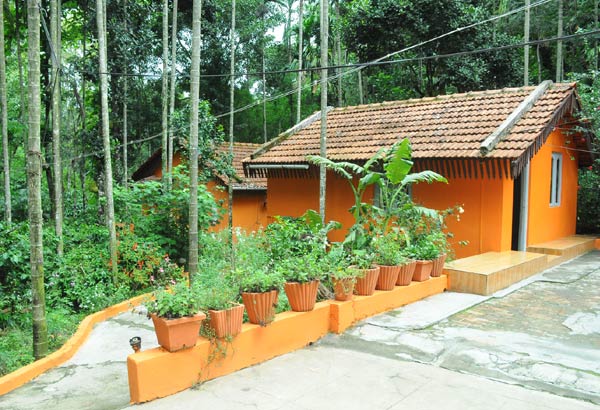 Halligadde Homestay