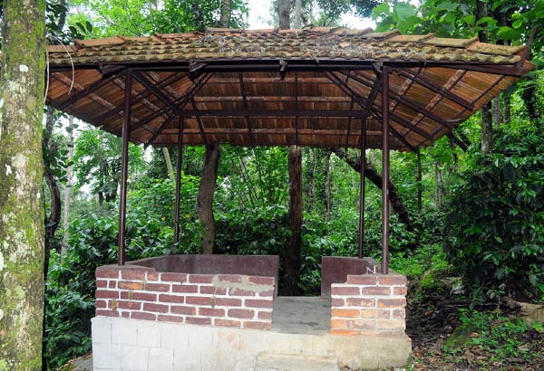 Halligadde Homestay