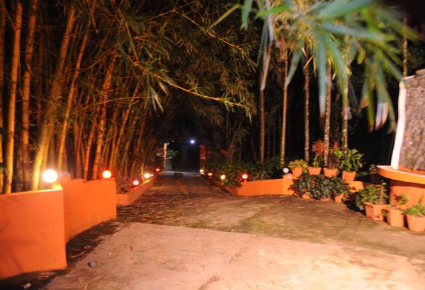 Halligadde Homestay